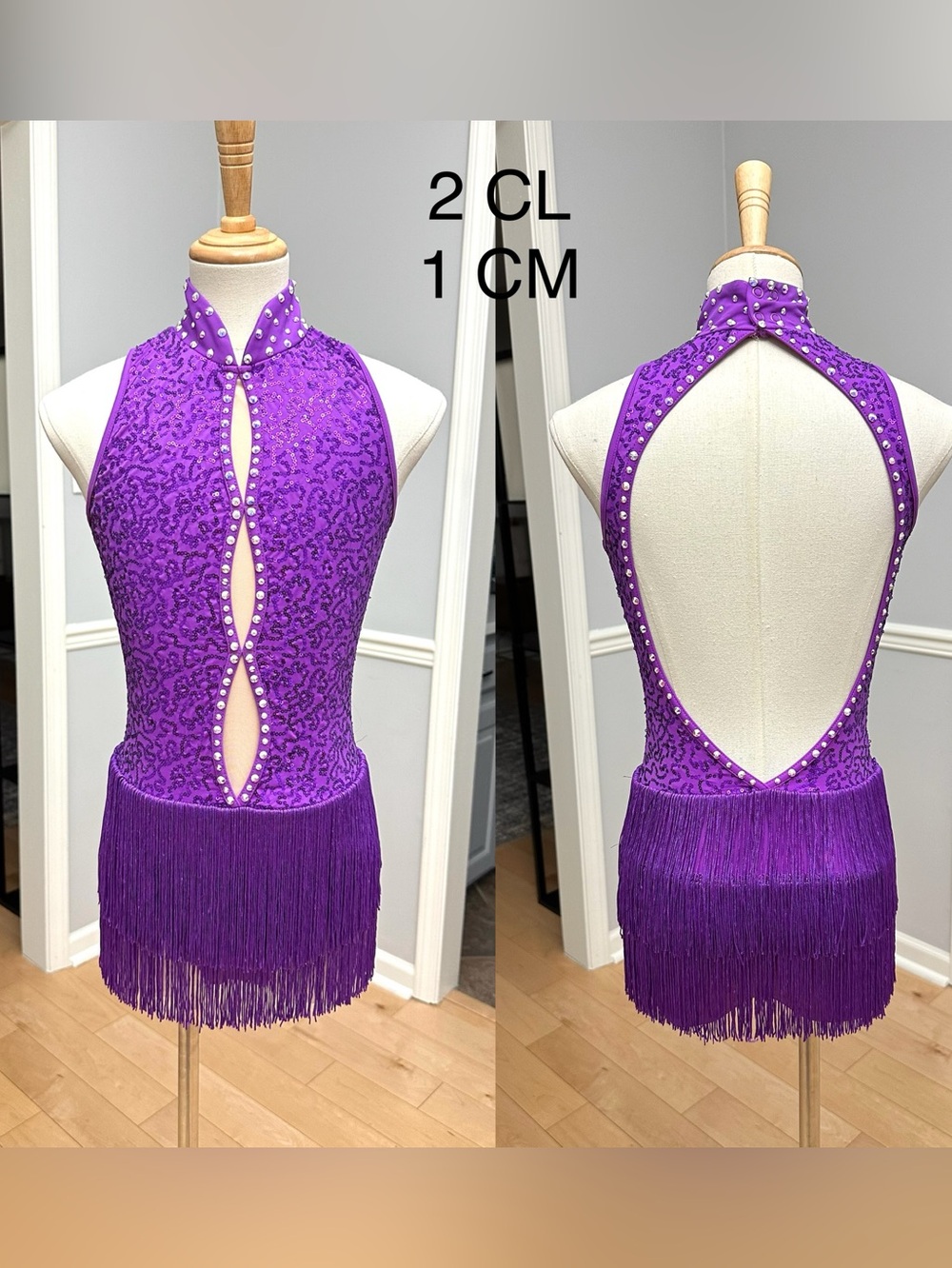 Purple Sequin Fringe Dance Dress